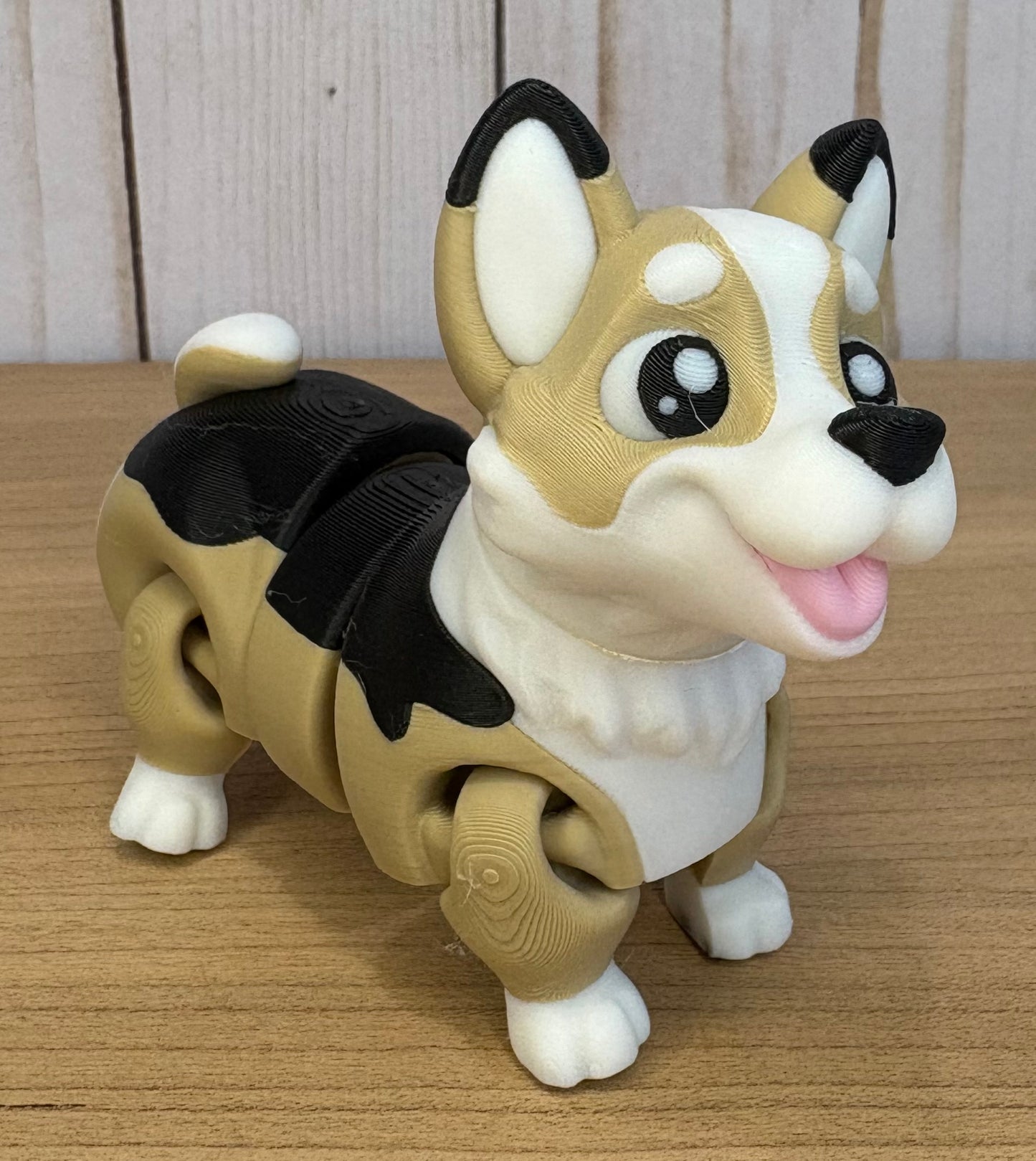 Corgi