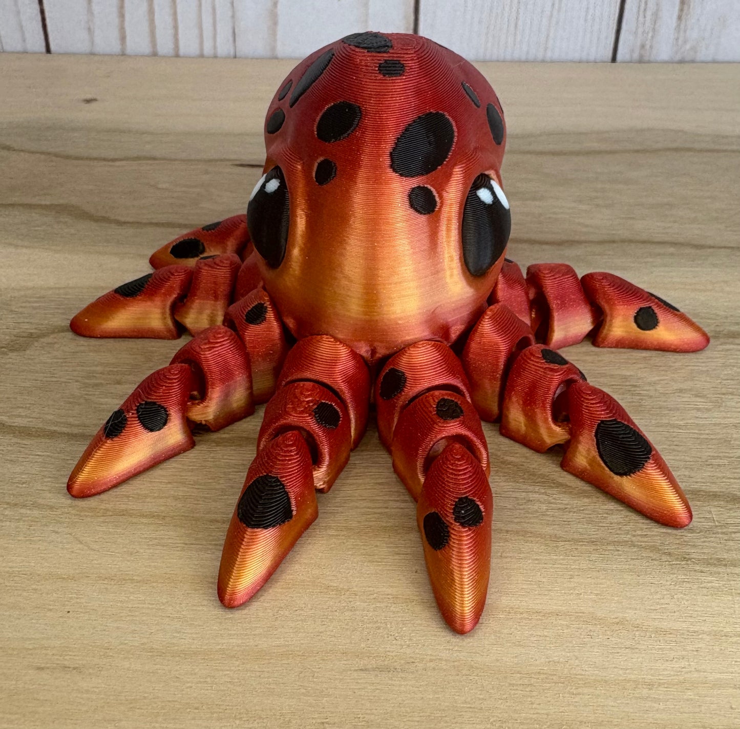 Octopus