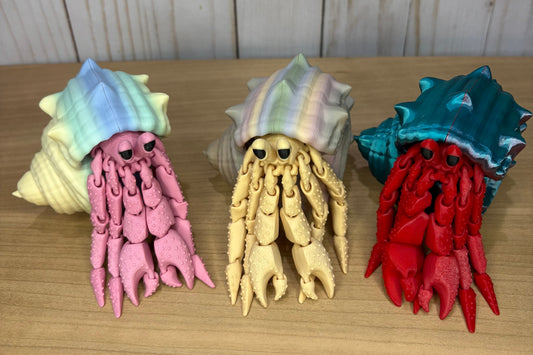 Hermit Crab