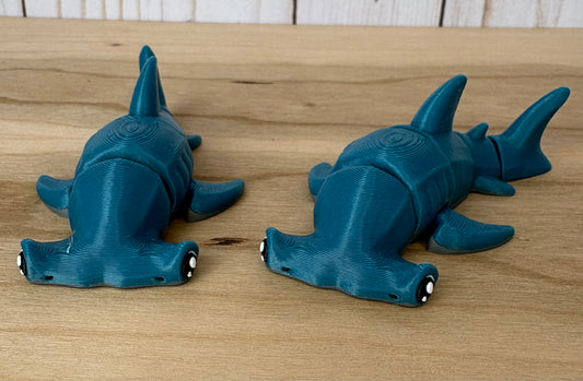 Baby Hammer Head Shark