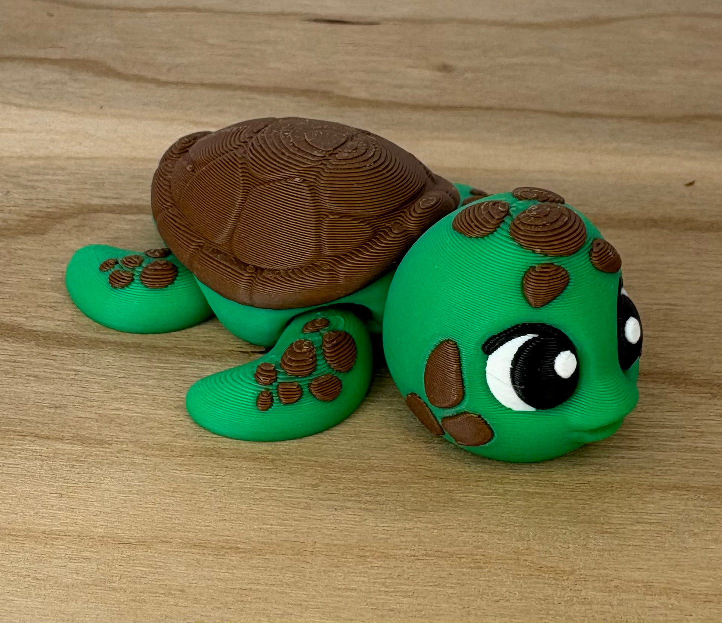 Spotted Baby Sea Turtle