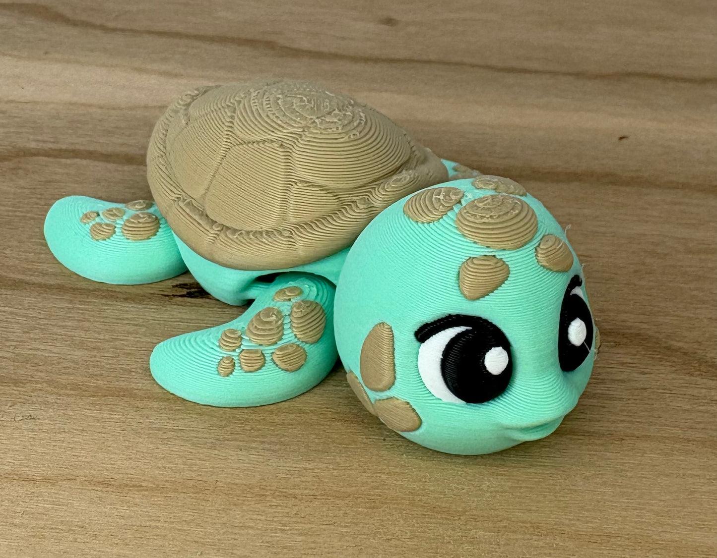 Spotted Baby Sea Turtle