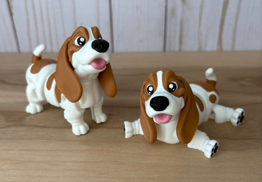 Basset Hound